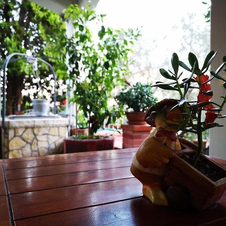 아멜리아 Casa Vacanze Sonia 아파트 외부 사진